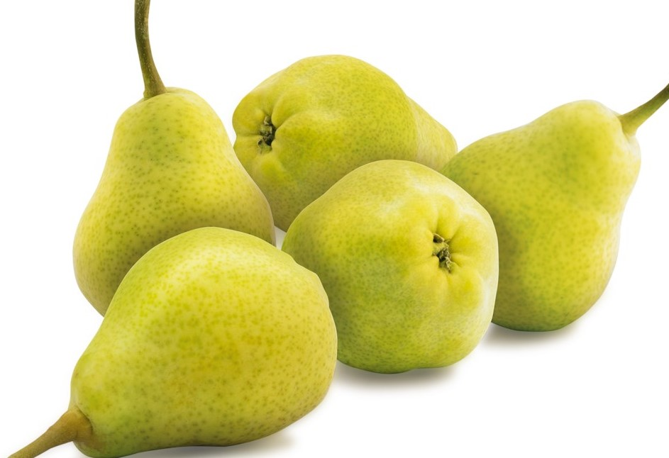 Груша Новый урожай 1кг