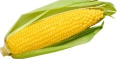 Кукуруза 1шт