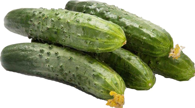 Огурцы Светогор 1кг