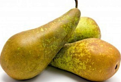 Груша Конференция 1кг