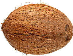 Кокос 1шт
