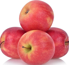 Яблоки Слава 1кг