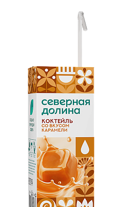 Коктейль молочный Северная долина 2,5% 200г карамель