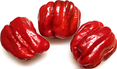 Перец Долма красный 1кг