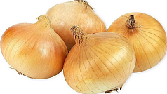 Лук репка 1кг