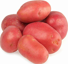 Картофель красный 1кг