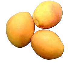 Абрикосы Ананаска 1кг